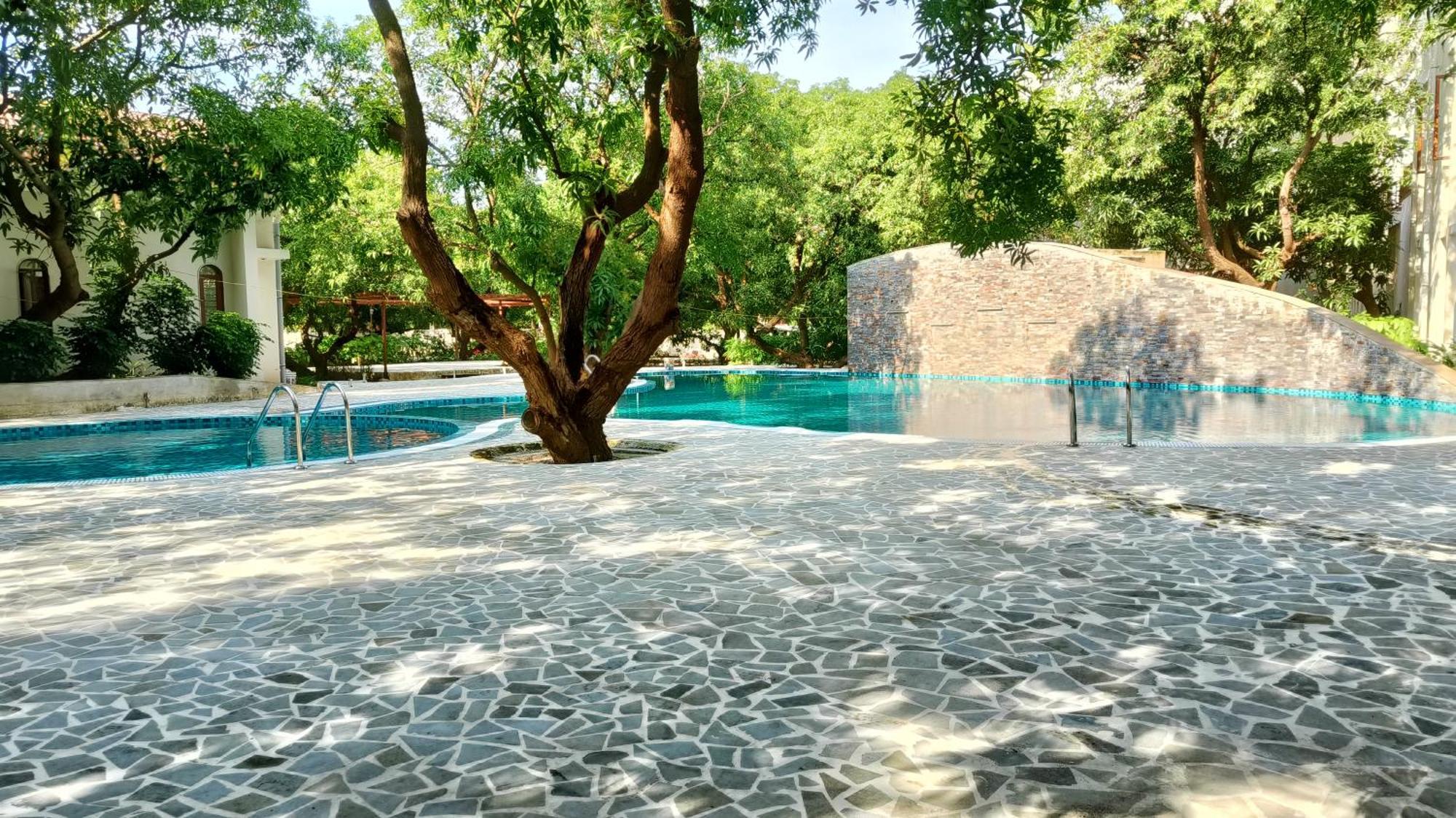 Le Casa Lion Resort A Premium Resort In סאסאן גיר מראה חיצוני תמונה