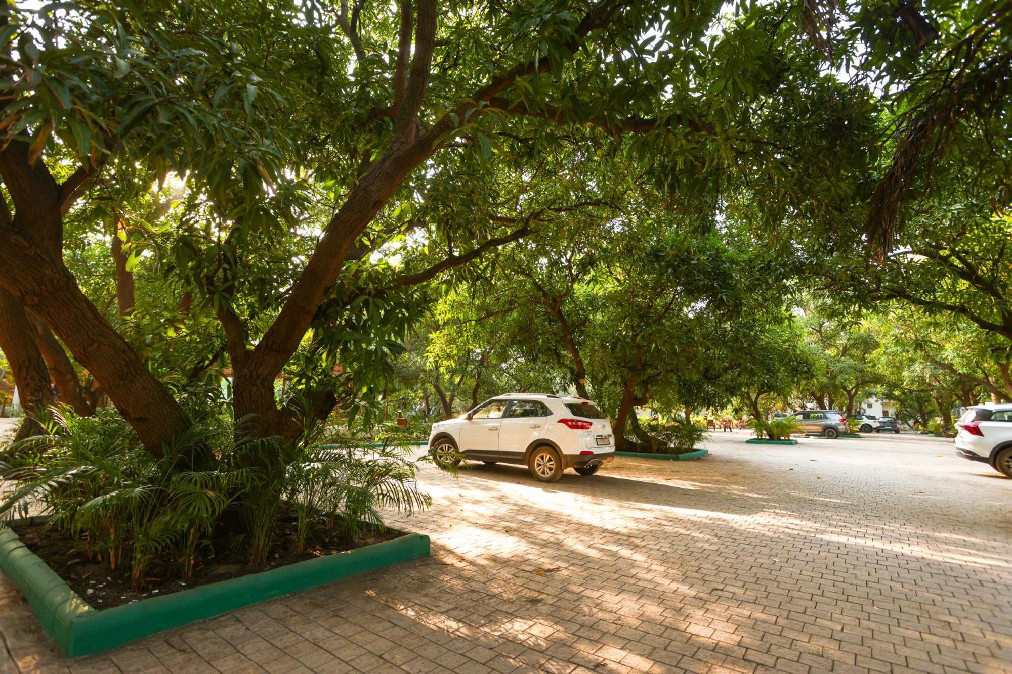 Le Casa Lion Resort A Premium Resort In סאסאן גיר מראה חיצוני תמונה