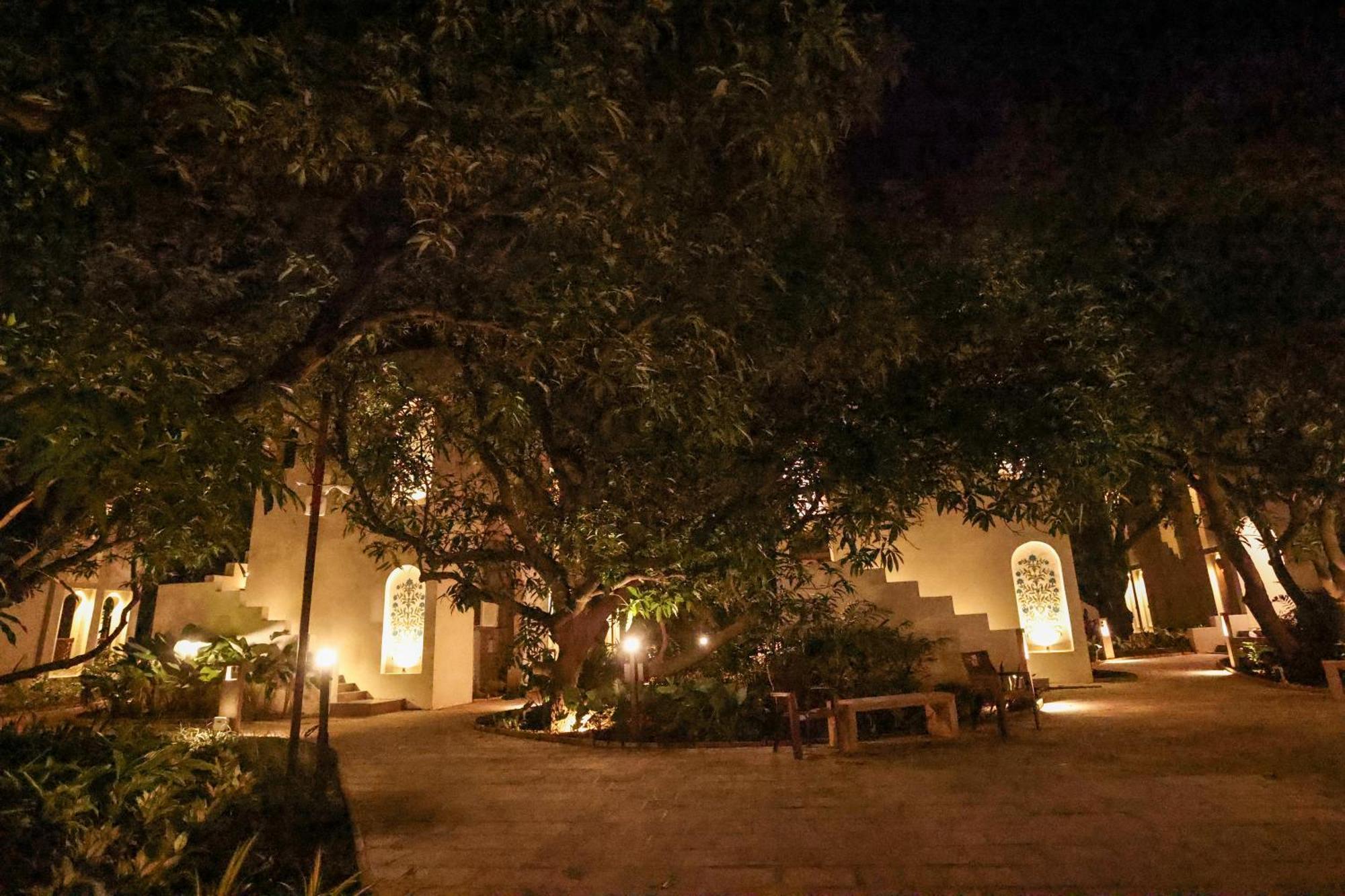 Le Casa Lion Resort A Premium Resort In סאסאן גיר מראה חיצוני תמונה